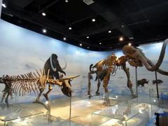 -辽宁古生物博物馆