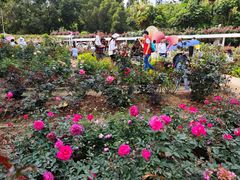 -人民公园(罗湖区)