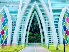 -顺峰山公园