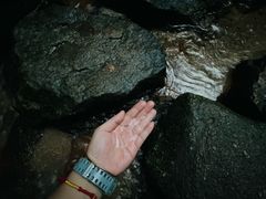 -火炉山森林公园