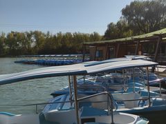 -昆山城市生态森林公园