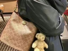 -COACH蔻驰(星光68广场店)