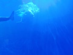 -多彩贵州城极地海洋世界