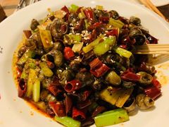 -福苗小骆驼烧烤(莲湖路店)