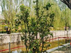 -元大都城垣遗址公园