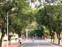 -广西大学(大学东路校区)