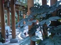 android_upload_pic-黄山温泉国际旅游度假区