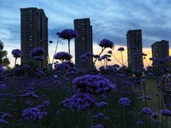 -杭州城北体育公园