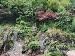 -阿哈湖国家湿地公园