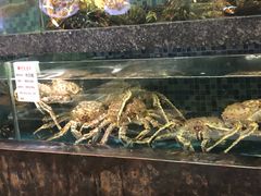 -宝燕壹号(徐汇店)