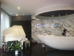 -比华利美容医院