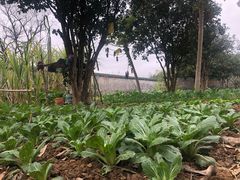 -南华寺素食馆(南华禅寺店)