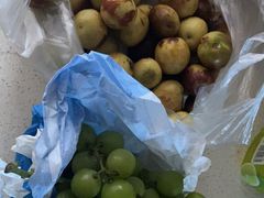 -龙门李家三旦羊肉汤馆