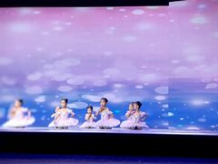 -中央芭蕾舞团·中芭艺蕾(酒仙桥明星校区)
