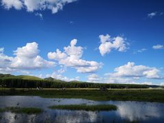 -御道口草原森林风景区