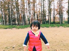 -上海长兴岛郊野公园