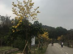 -红山村