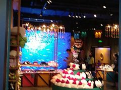 -沈阳海洋探索中心