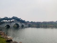 -上海海湾国家森林公园