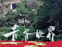 -青青世界