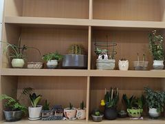 -胖子鱼·油泼甘谷辣子炝活鱼(秦州407店)