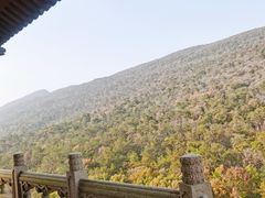 -灵谷景区