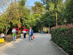 -青龙山国家森林公园