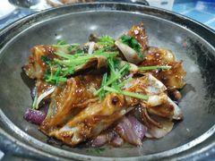 -石岐乳鸽村(南海第三分店)