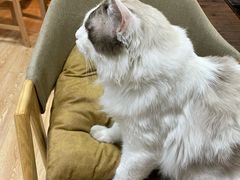 -白兔子密室(长寿路店)