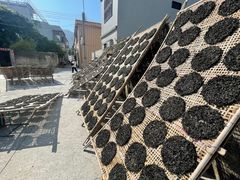 -闽粤南澳总镇府