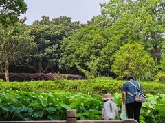 -宝岩生态观光园
