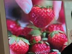 -WenTinG文汀·半糖蛋糕(合生汇店)