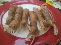 -阳光五洲大酒店·宴会厅