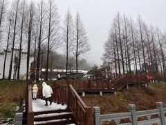 -东白山