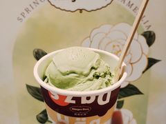 抹茶品脱冰淇淋-哈根达斯(万象城店)