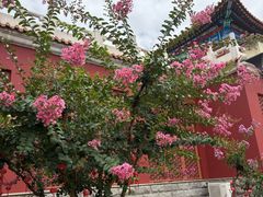 -大明幻境第一城