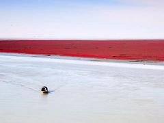 -盘锦红海温泉乐园