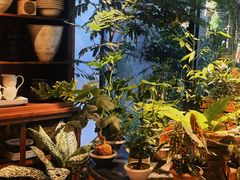-自由生长植物工作室(深港花卉中心店)