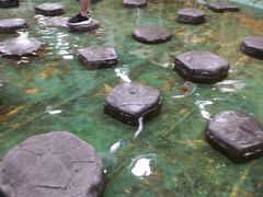 -上海大自然野生昆虫馆(东方明珠·爬宠昆虫探索中心)