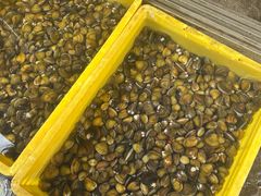 -红旗山庄(圭峰山店)