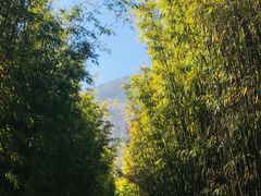 -蝴蝶泉公园