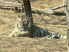 -大连森林动物园