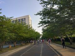 -同济大学(嘉定校区)