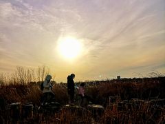-绿堤公园