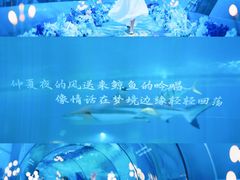 -重庆欢乐海底世界