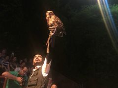 -夜间野生动物园