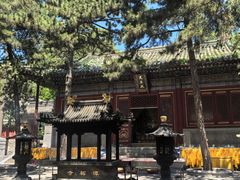 -潭柘寺景区