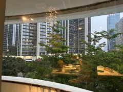 -百年果林椰子鸡(中洲店)