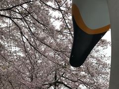 -井之头恩赐公园