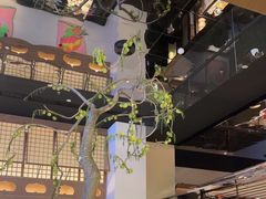 -桂满陇·海市蜃楼·黑金(国金店)